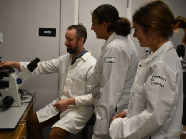 The Misfolding of Tau in Relation to Neurodegenerative Diseases