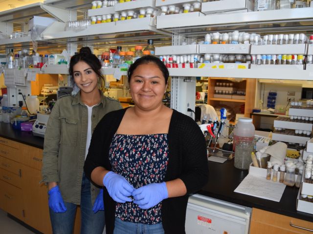 Mentor and intern in lab